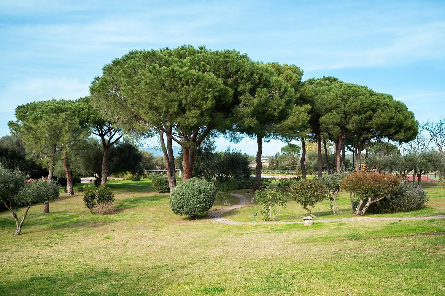 Caletta Nest 38 Apartment Porto Rotondo 0*,